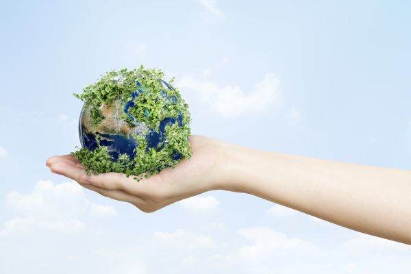 The World Wide Fund for Nature makes recommendations for the Ministry of Energy and the Ministry of the Environment